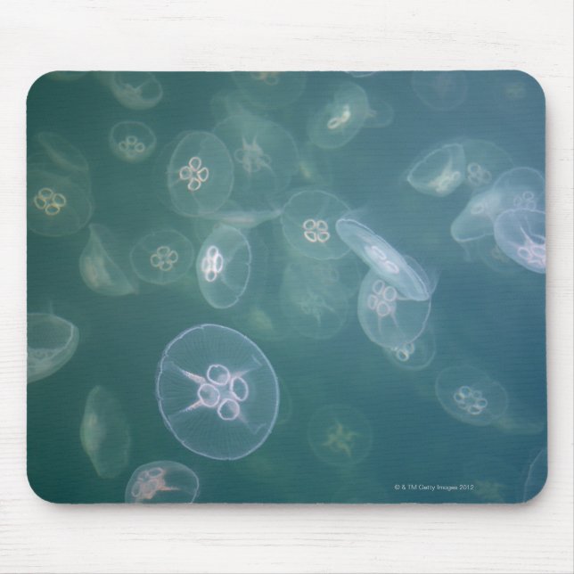 Moon jellyfish mouse pad (Front)