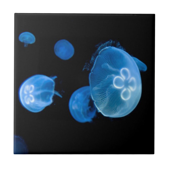 Moon jellyfish no 4 ceramic tile (Front)
