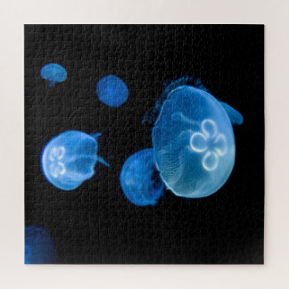Moon jellyfish no 4 jigsaw puzzle