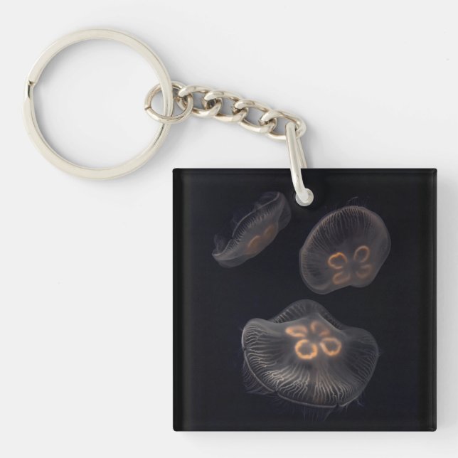 Moon Jellyfish Swimming Key Ring (Front)