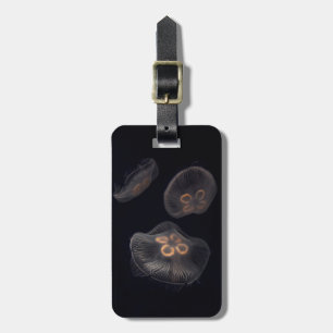 Moon Jellyfish Swimming Luggage Tag