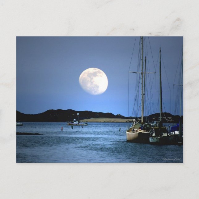 Moon Light Harbour Postcard (Front)