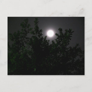Moon light postcard