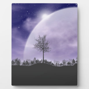 Moon Light Stars Sky Trees Whimsical Personalise Plaque