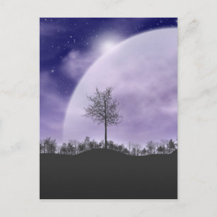 Moon Light Stars Sky Trees Whimsical Personalise Postcard