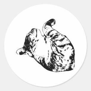 Moon-Nap Familiar Classic Round Sticker
