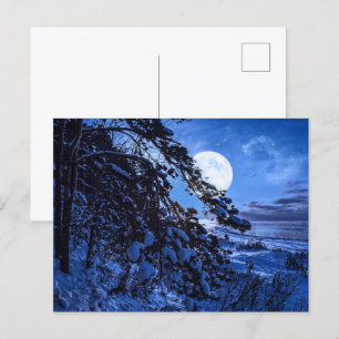 Moon over snowy fir tree and sea coast at night holiday postcard