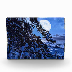 Moon over snowy fir tree and sea coast at night photo block
