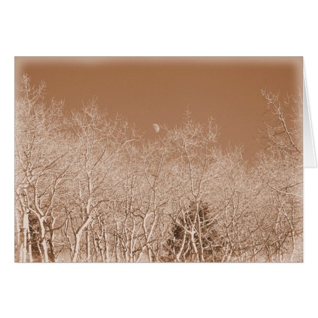 Moon Over the White Forest - Blank Inside Card (Front Horizontal)
