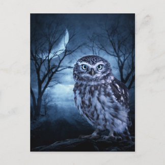 "Moon Owl" Postcard