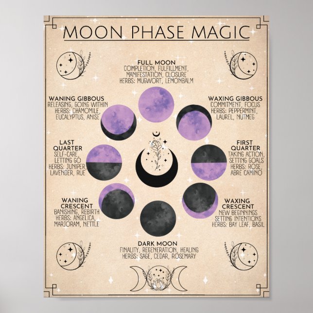 Moon Phase Art Moon Magic Poster (Front)