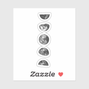 Moon Phases