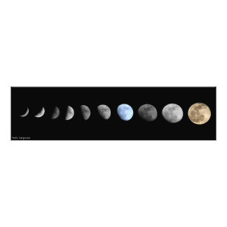 Moon Phases Photo Print