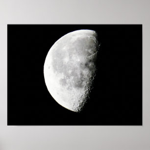 Moon  poster