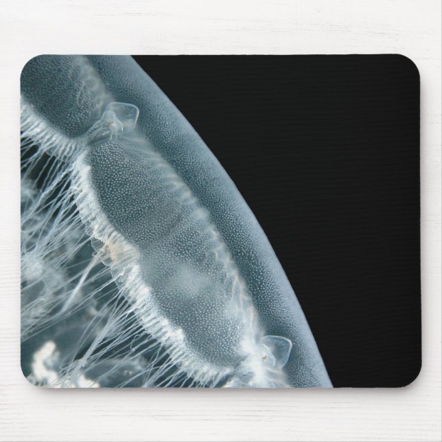 Moon Rise Mouse Pad (Front)