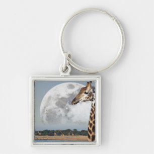 Moon rising over a group of Giraffe in Etosha Key Ring
