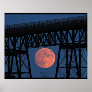 Moon Rising under Walkway Bridge Poster