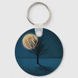 Moon Shadow Key Ring