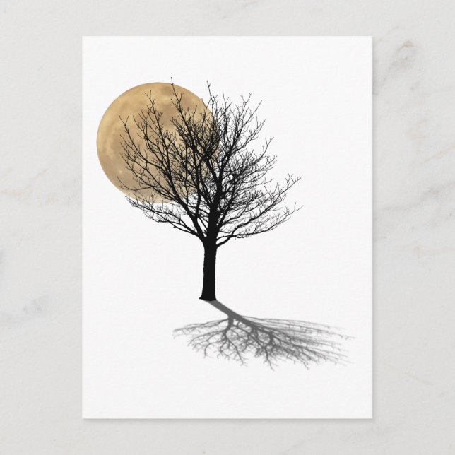 Moon Shadow Postcard (Front)