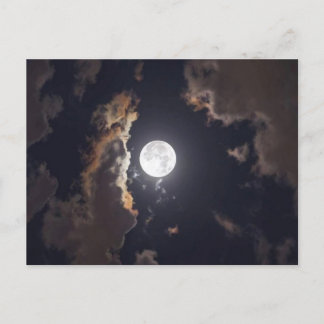 Moon Shine Postcard