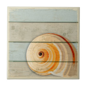 Moon Snail Tile