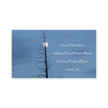 Moon Speared By Tree