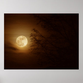Moon Through the Trees Poster