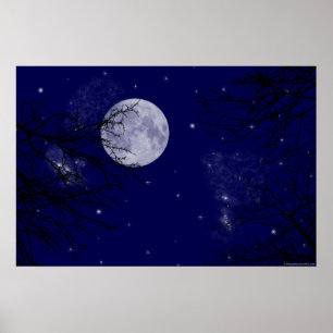 Moon View Poster