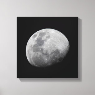 Moon with Black Sky Zambia, South Luangwa Canvas Print