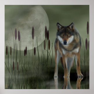 Moon Wolf - Wolf, Animals Poster