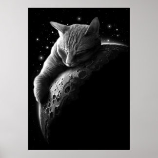 mooncat poster