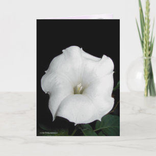MoonFlower Card