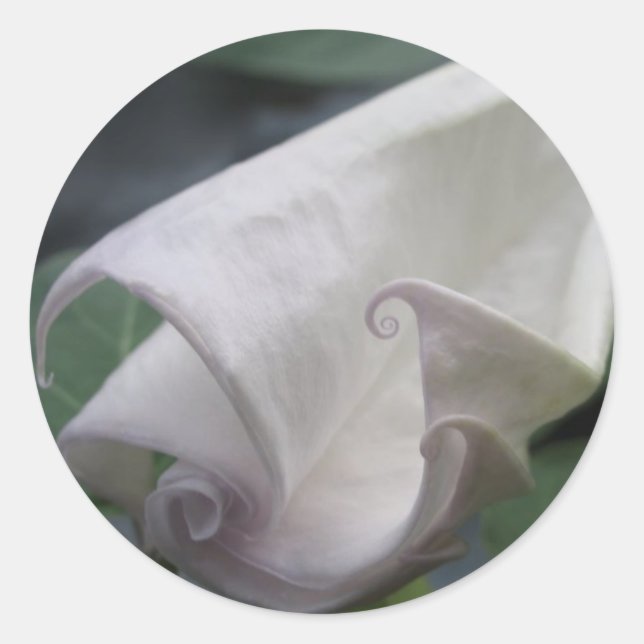 Moonflower Classic Round Sticker (Front)