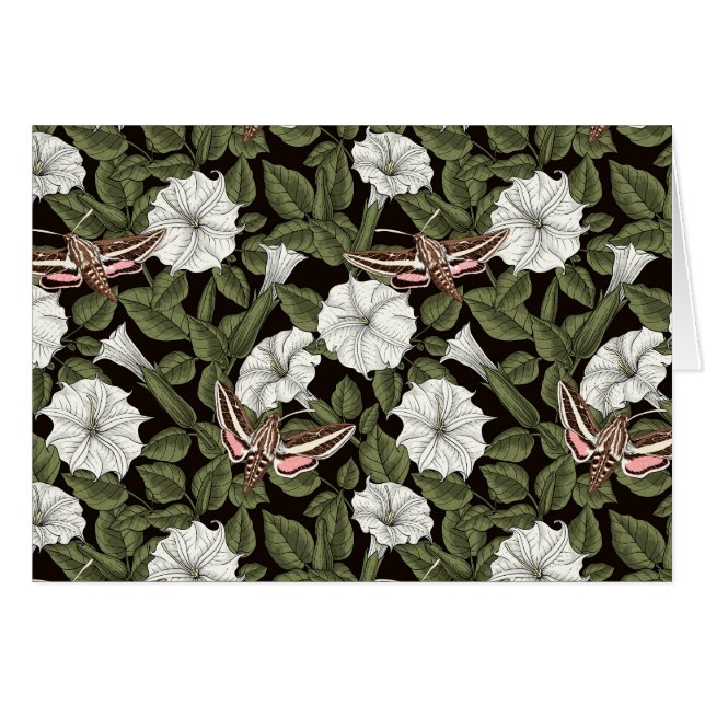 Moonflowers and sphinx moths (Front Horizontal)