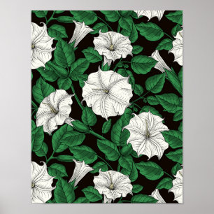 Moonflowers Poster