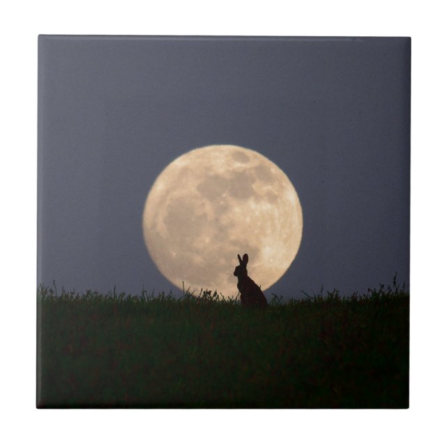 Moongazer.JPG Tile (Front)