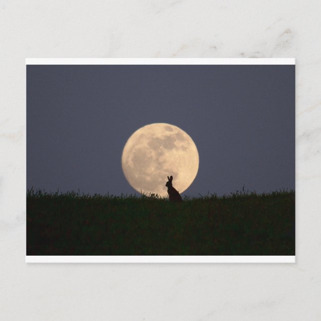 Moongazer Postcard (Front)