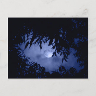 Moonglow Postcard