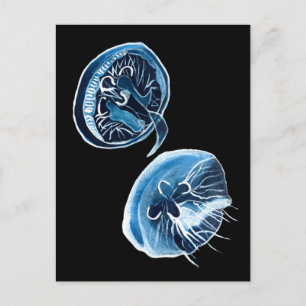 MoonJellyfish watercolor art Postcard