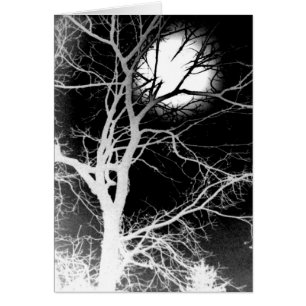 Moonlight
