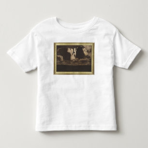 Moonlight, 1887 toddler T-Shirt