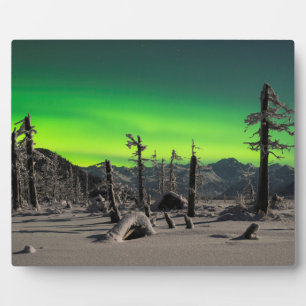 Moonlight Aurora Plaque
