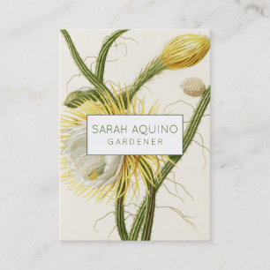 Moonlight Cactus Business Card