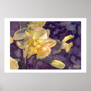 Moonlight Daffodils- Watercolor Poster Print 