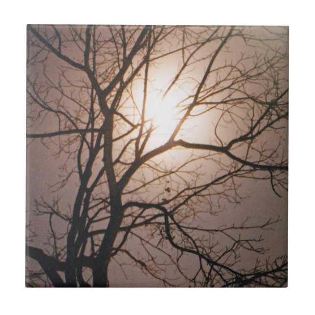 Moonlight Dream Ceramic Tile (Front)