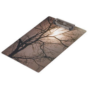 Moonlight Dream Clipboard