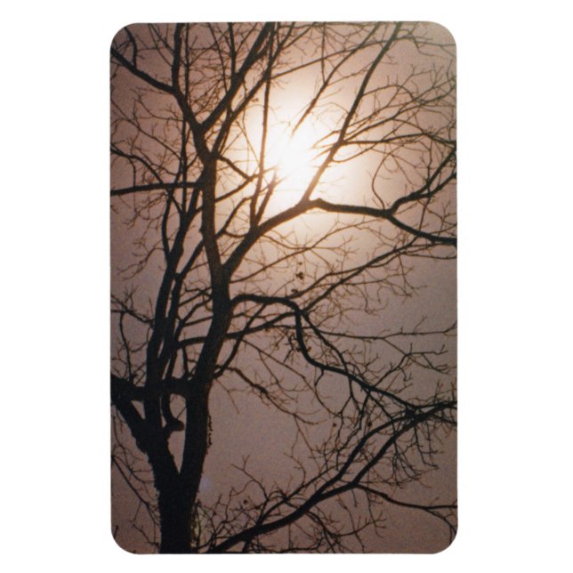 Moonlight Dream Magnet (Vertical)