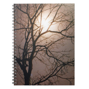 Moonlight Dream Notebook