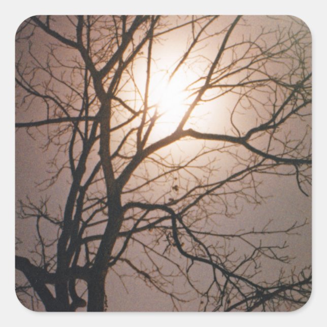 Moonlight Dream Square Sticker (Front)