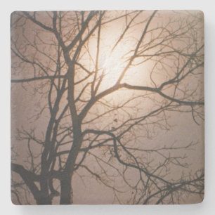 Moonlight Dream Stone Coaster